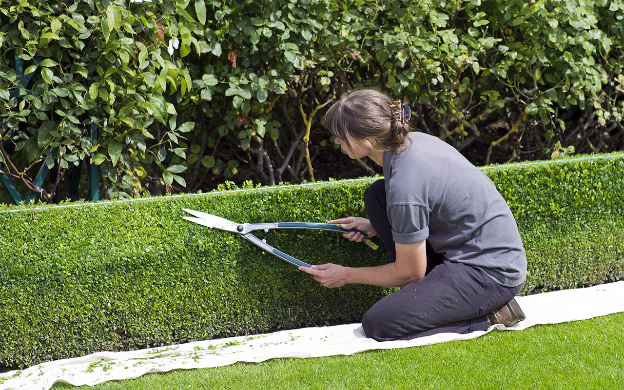 Wiederkehrende Gartenpflege