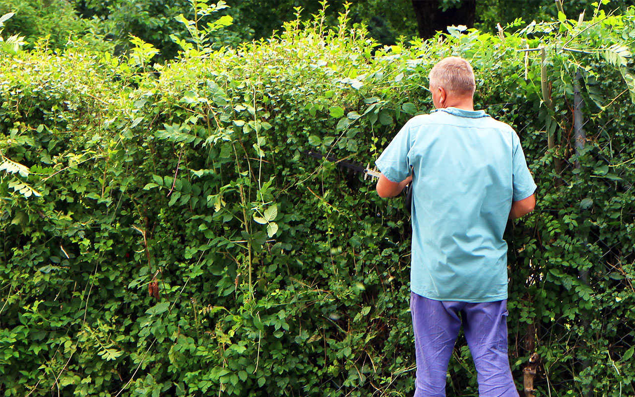 Gartenpflege