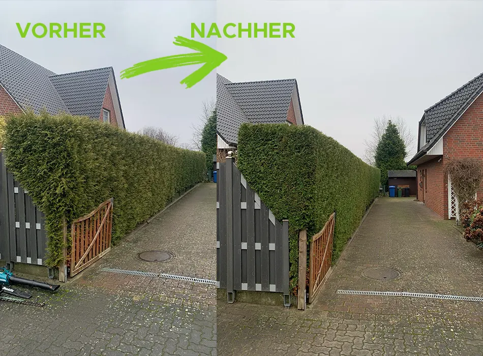Unsere Leistungen